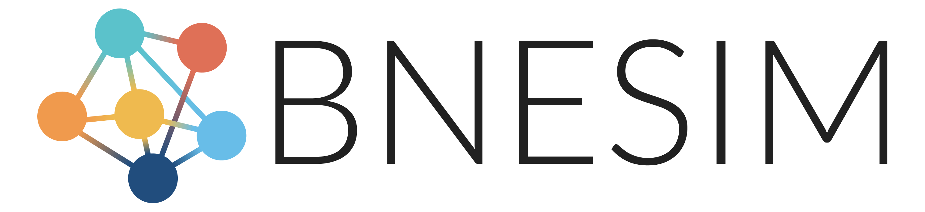 BNESIM logo
